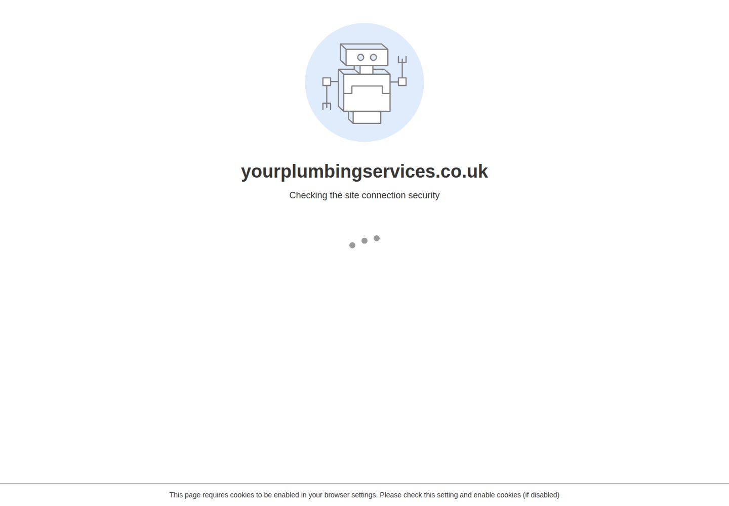 Your plumbing services website screenshot