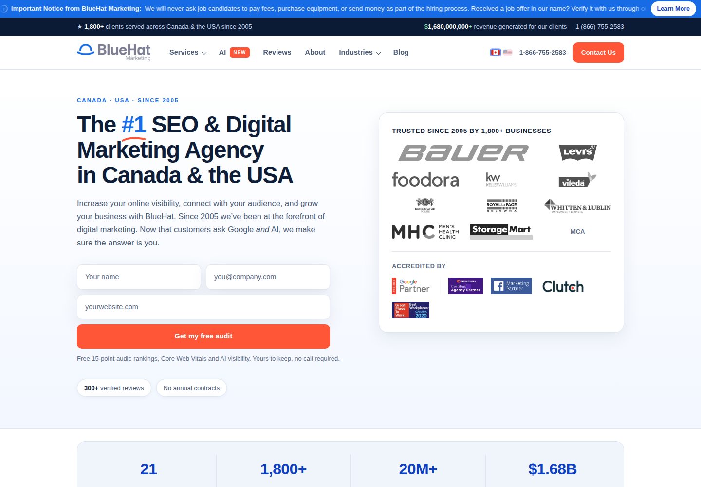 BlueHat Marketing website screenshot