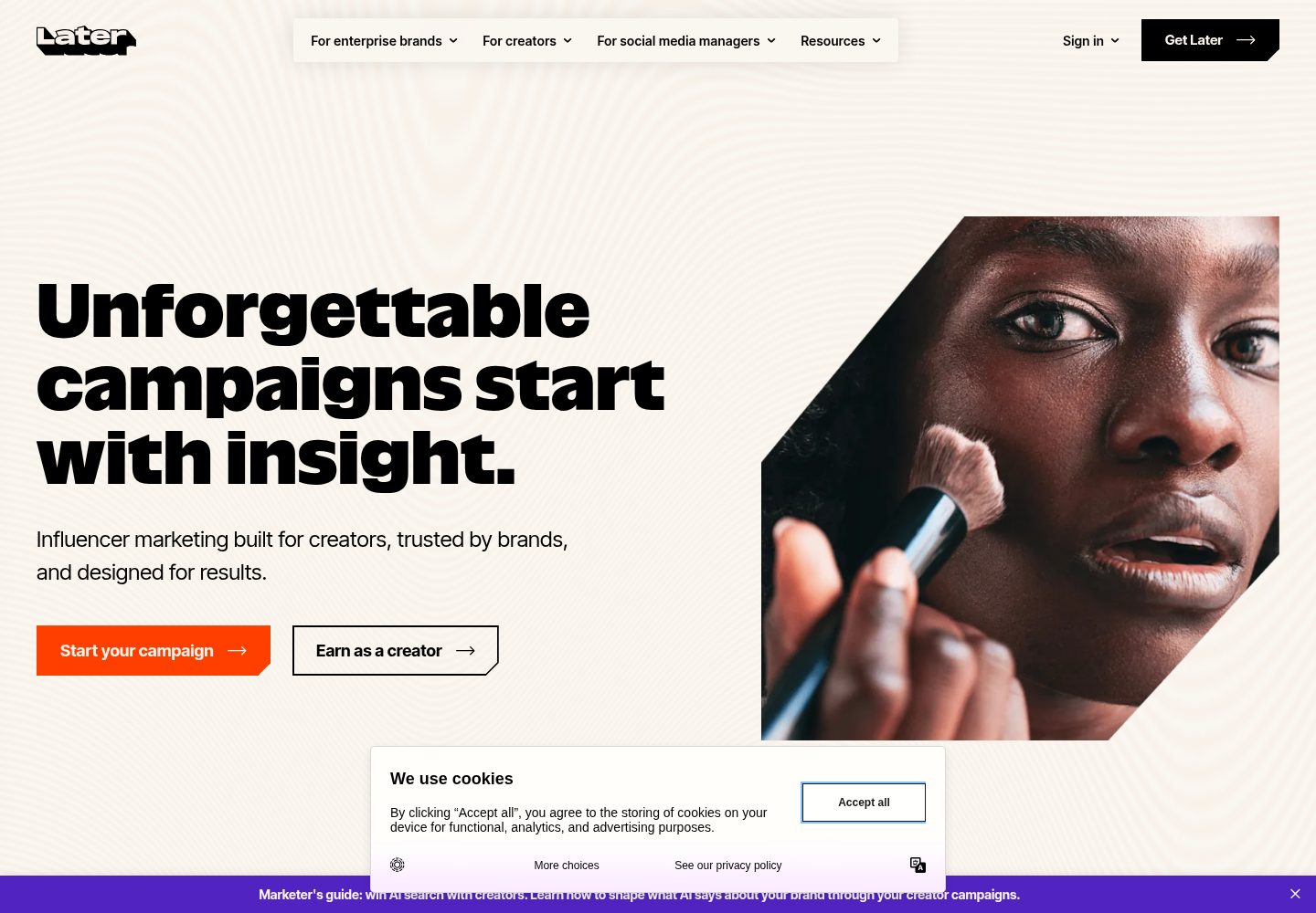 Later website screenshot