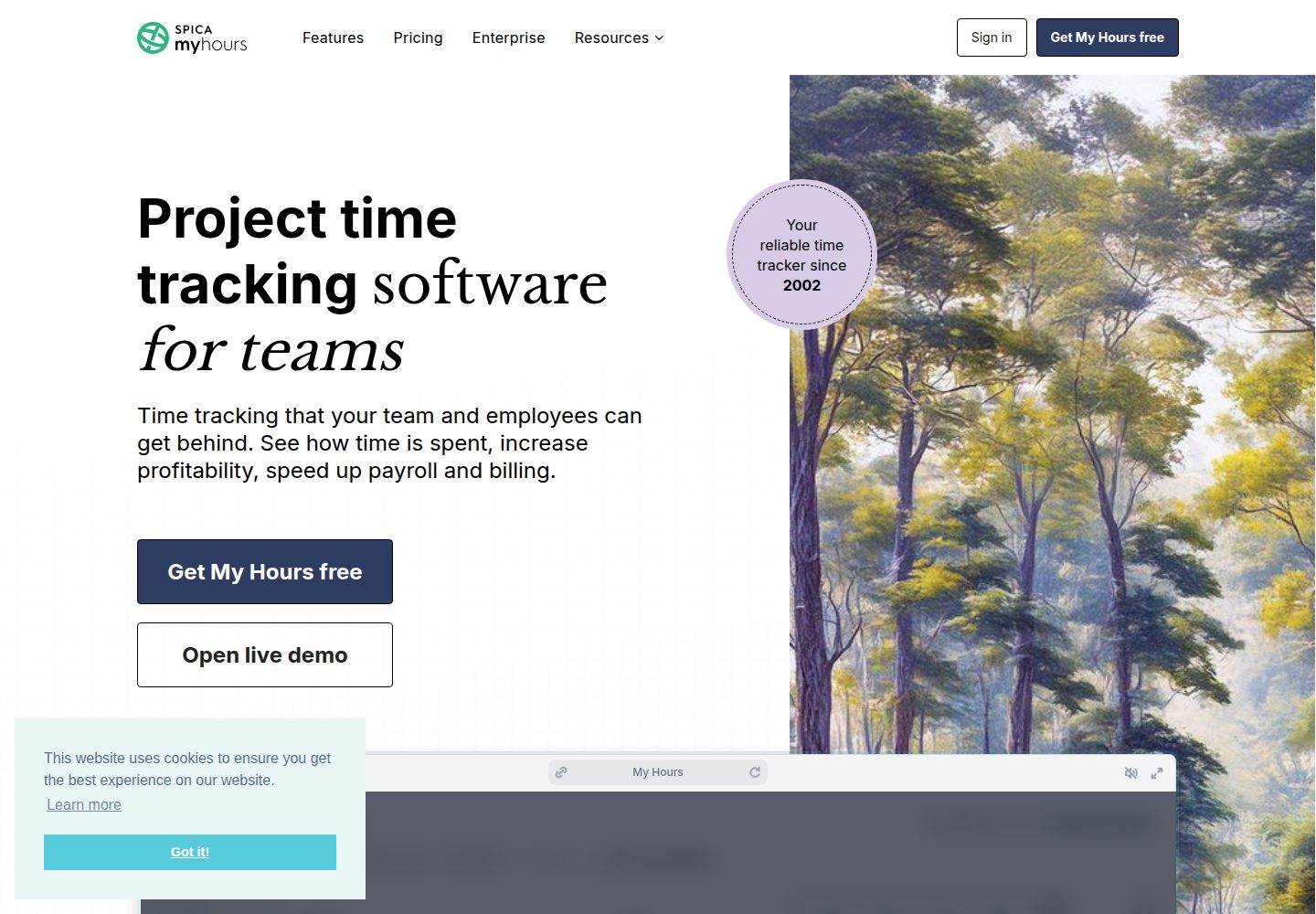 My Hours website screenshot