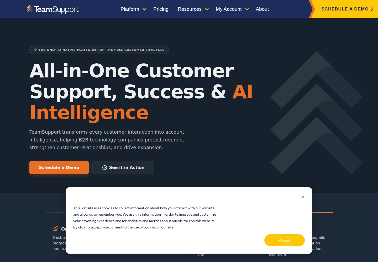 TeamSupport website screenshot