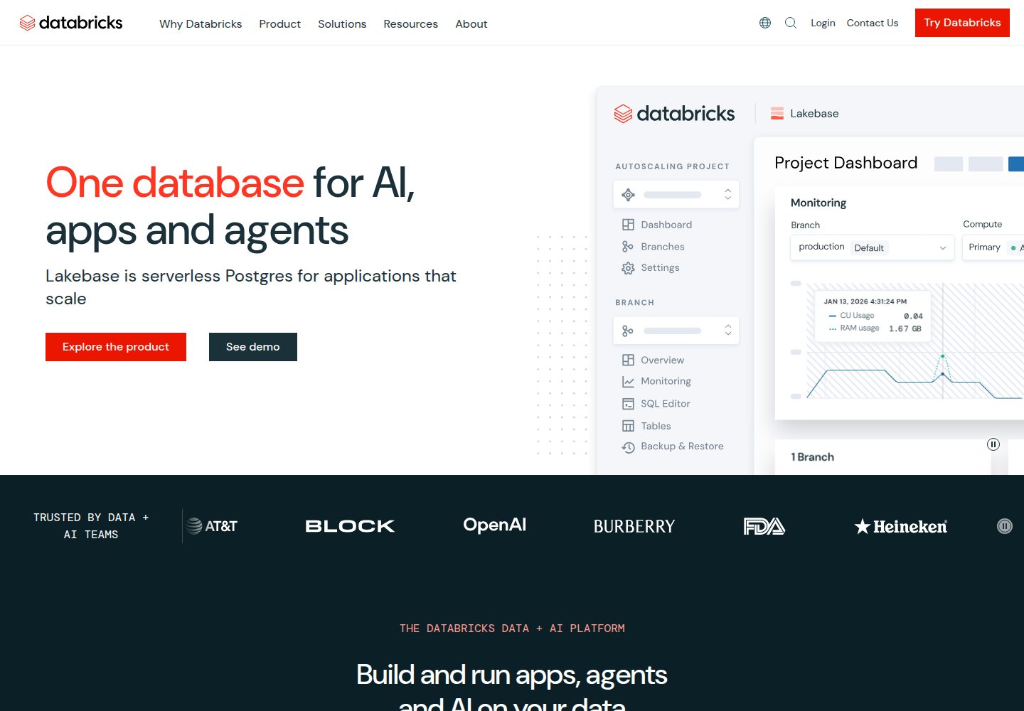 Databricks website screenshot