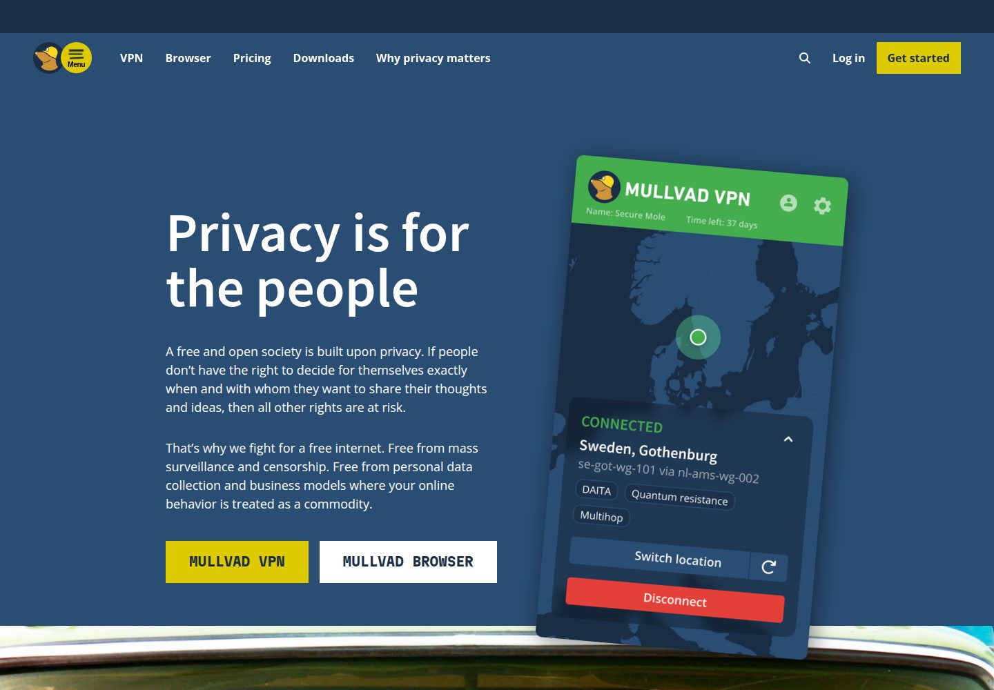 Mullvad VPN website screenshot
