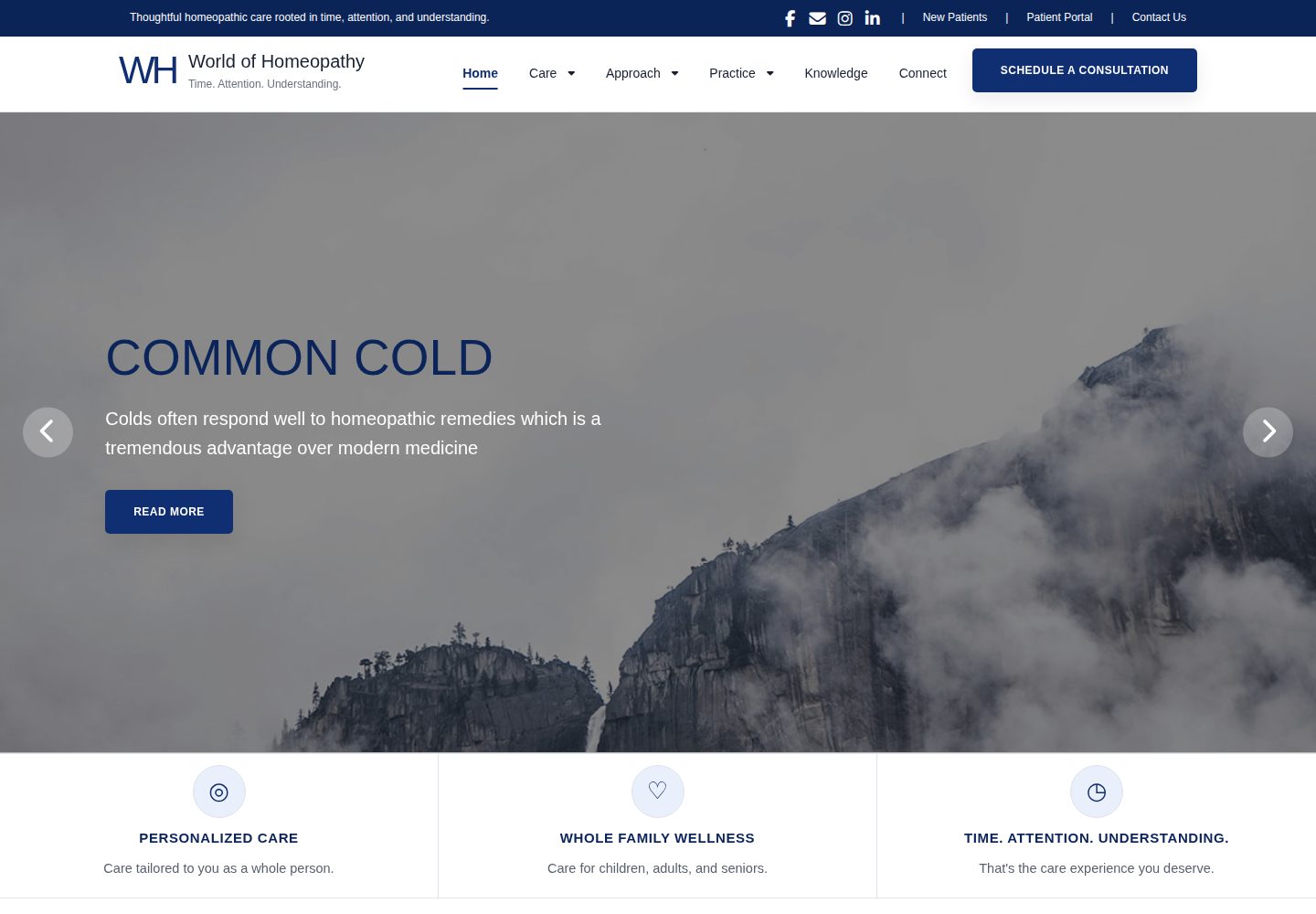 World of homeopathy website screenshot