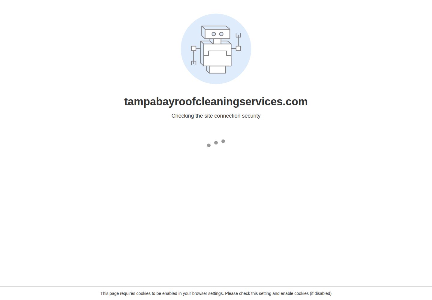 Tampa Bay Roof Cleaning website screenshot