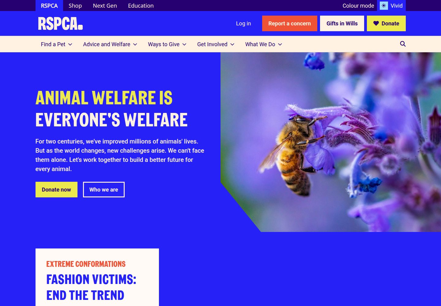 RSPCA website screenshot