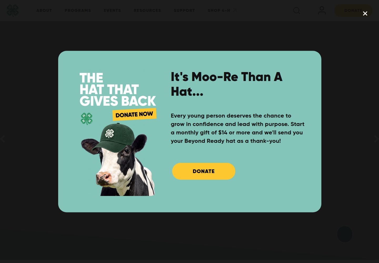 4-H website screenshot