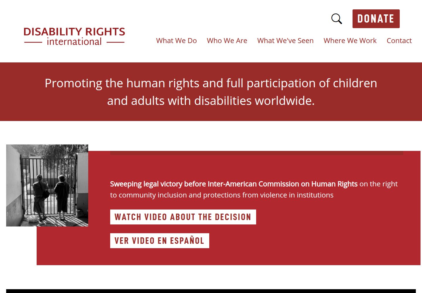 Disability Rights International website screenshot