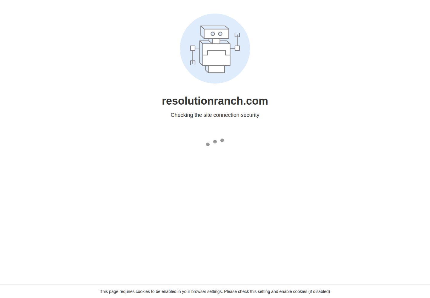 Resolution Ranch Academy website screenshot