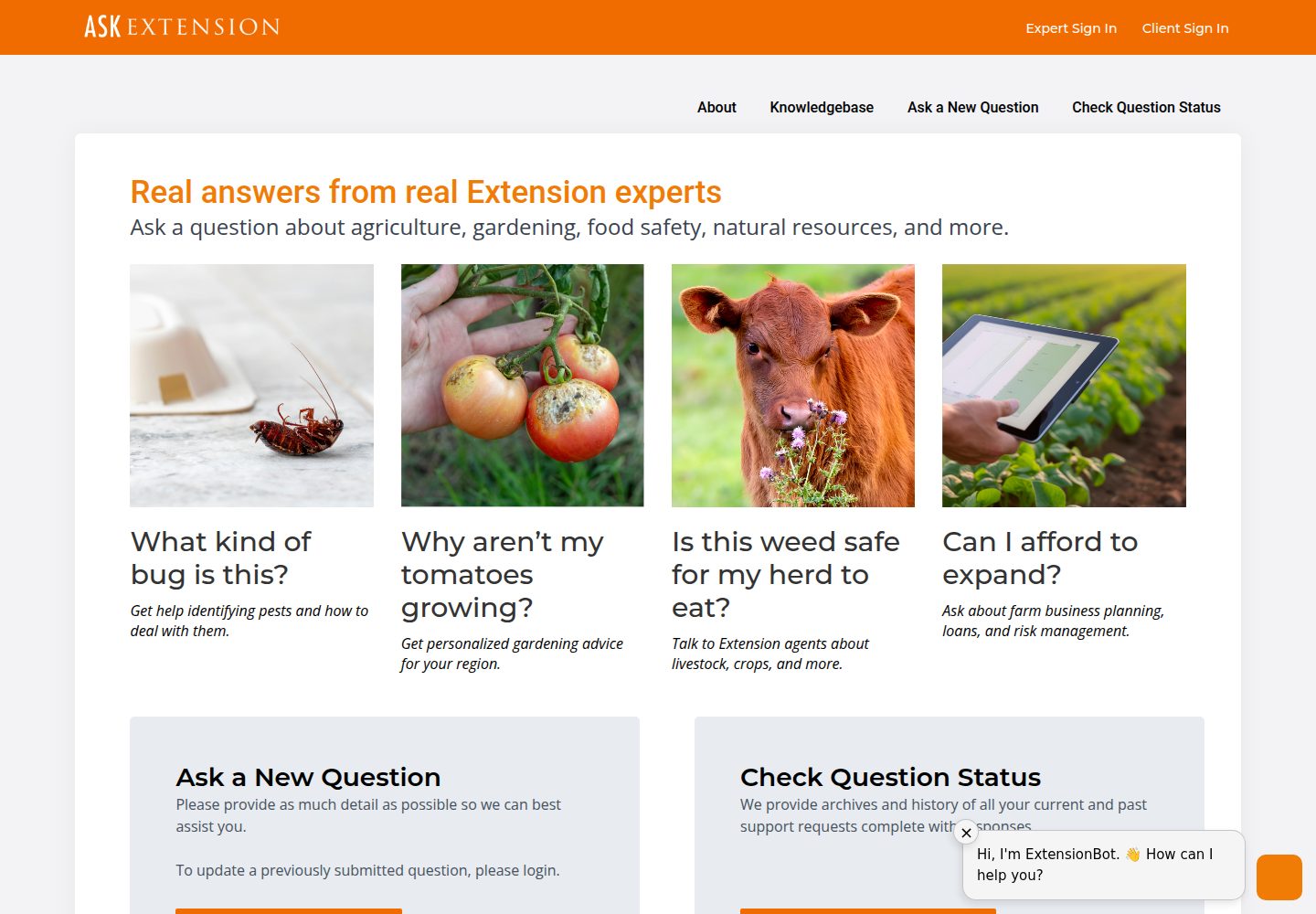 Ask Extension website screenshot