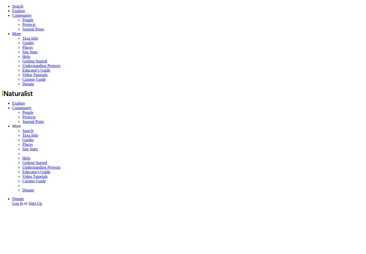 iNaturalist website screenshot