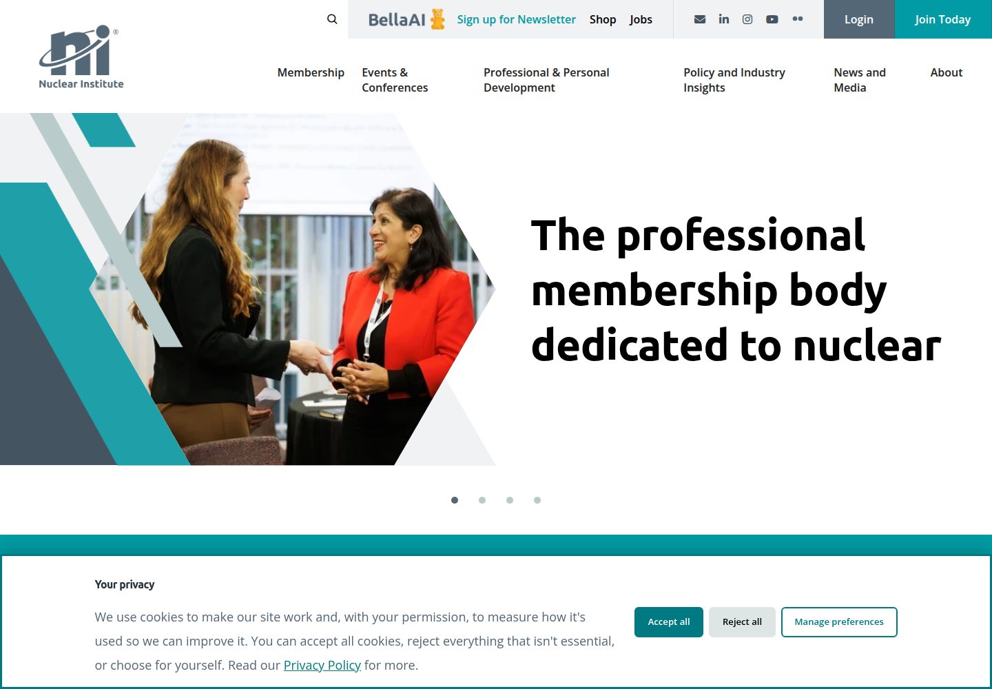 Nuclear Inst website screenshot