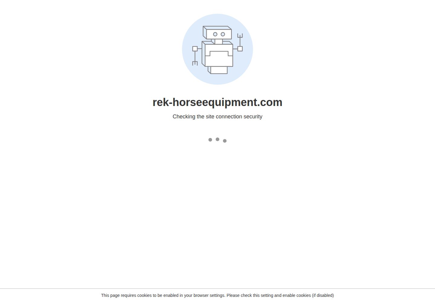  REK Horse Equipment website screenshot