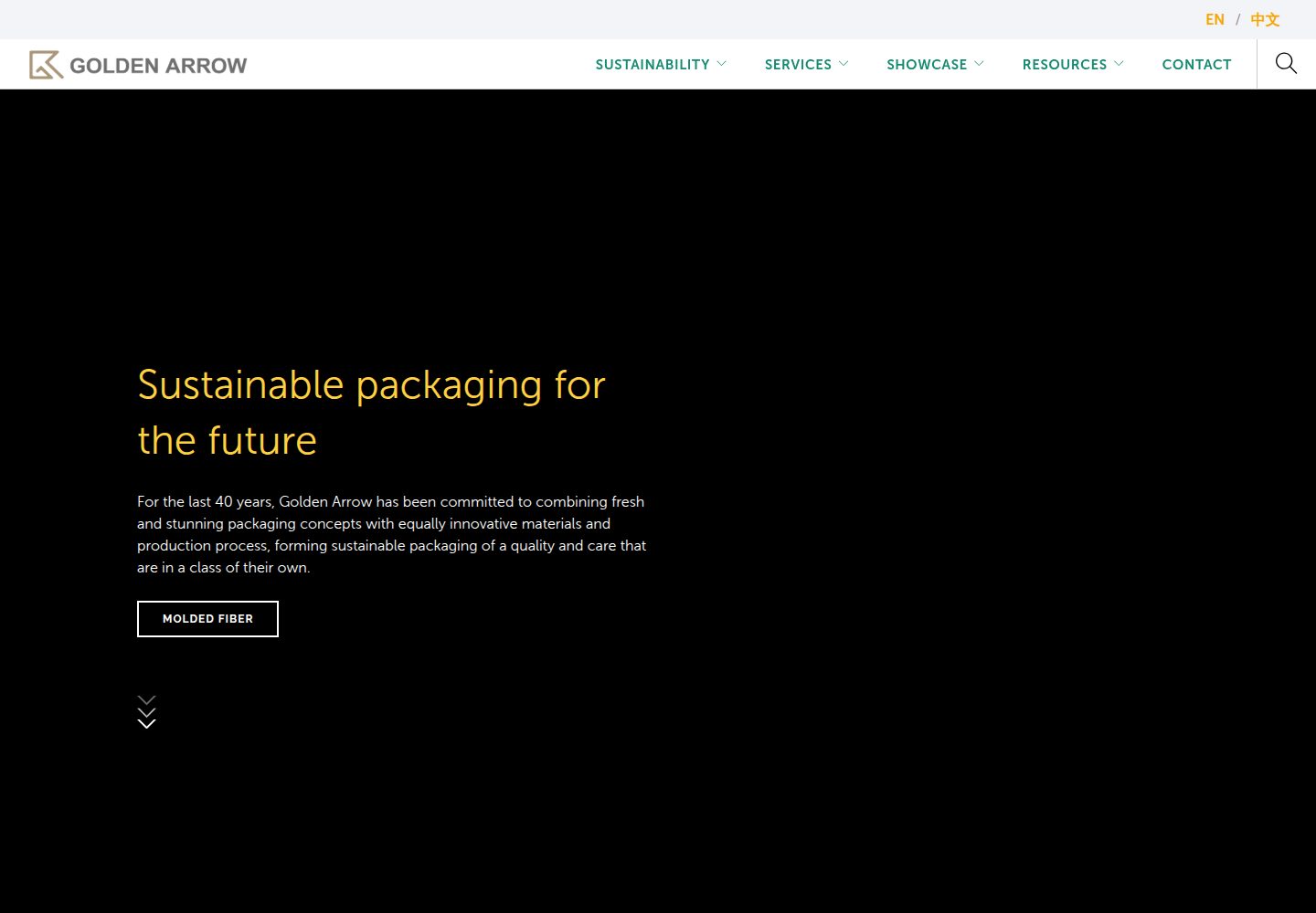 Golden Arrow Packaging & Innovation website screenshot